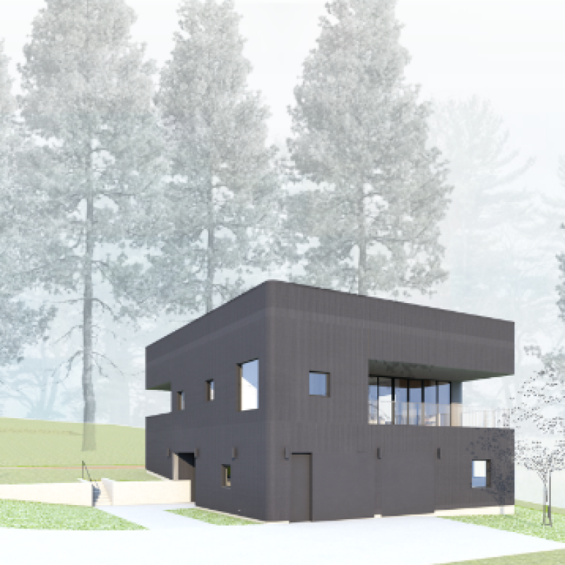 Wong Rendering